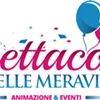 SPETTACOLO DELLE MERAVIGLIE 