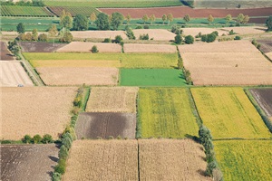 BANCA DELLA TERRA INCOLTA